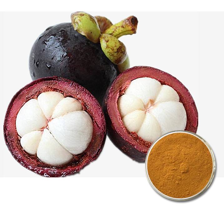 100% NATURAL VIETNAMESE FREEZE-DRIED MANGOSTEEN – SWEET, CRISPY & HAND-SELECTED