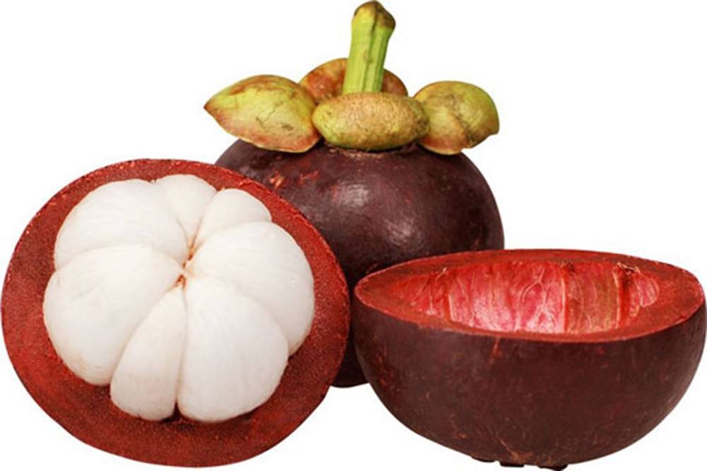100% NATURAL VIETNAMESE FREEZE-DRIED MANGOSTEEN – SWEET, CRISPY & HAND-SELECTED 3