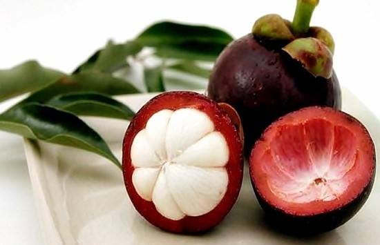 100% NATURAL VIETNAMESE FREEZE-DRIED MANGOSTEEN – SWEET, CRISPY & HAND-SELECTED 4