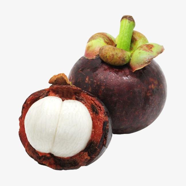 PREMIUM VIETNAMESE MANGOSTEEN FOR EXPORT – HIGH-GRADE TROPICAL FRUIT FOR GLOBAL BUYERS