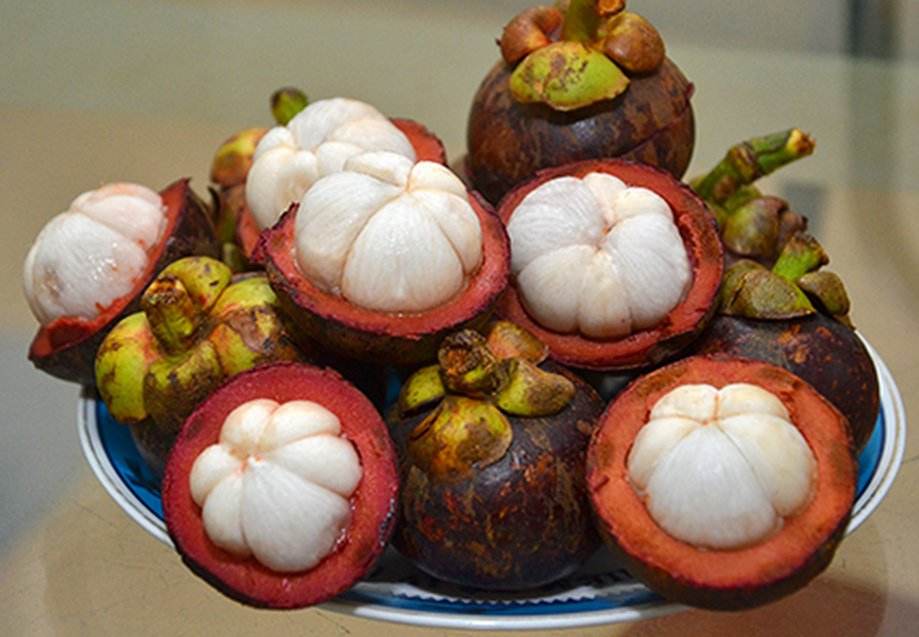 PREMIUM VIETNAMESE MANGOSTEEN FOR EXPORT – HIGH-GRADE TROPICAL FRUIT FOR GLOBAL BUYERS 3
