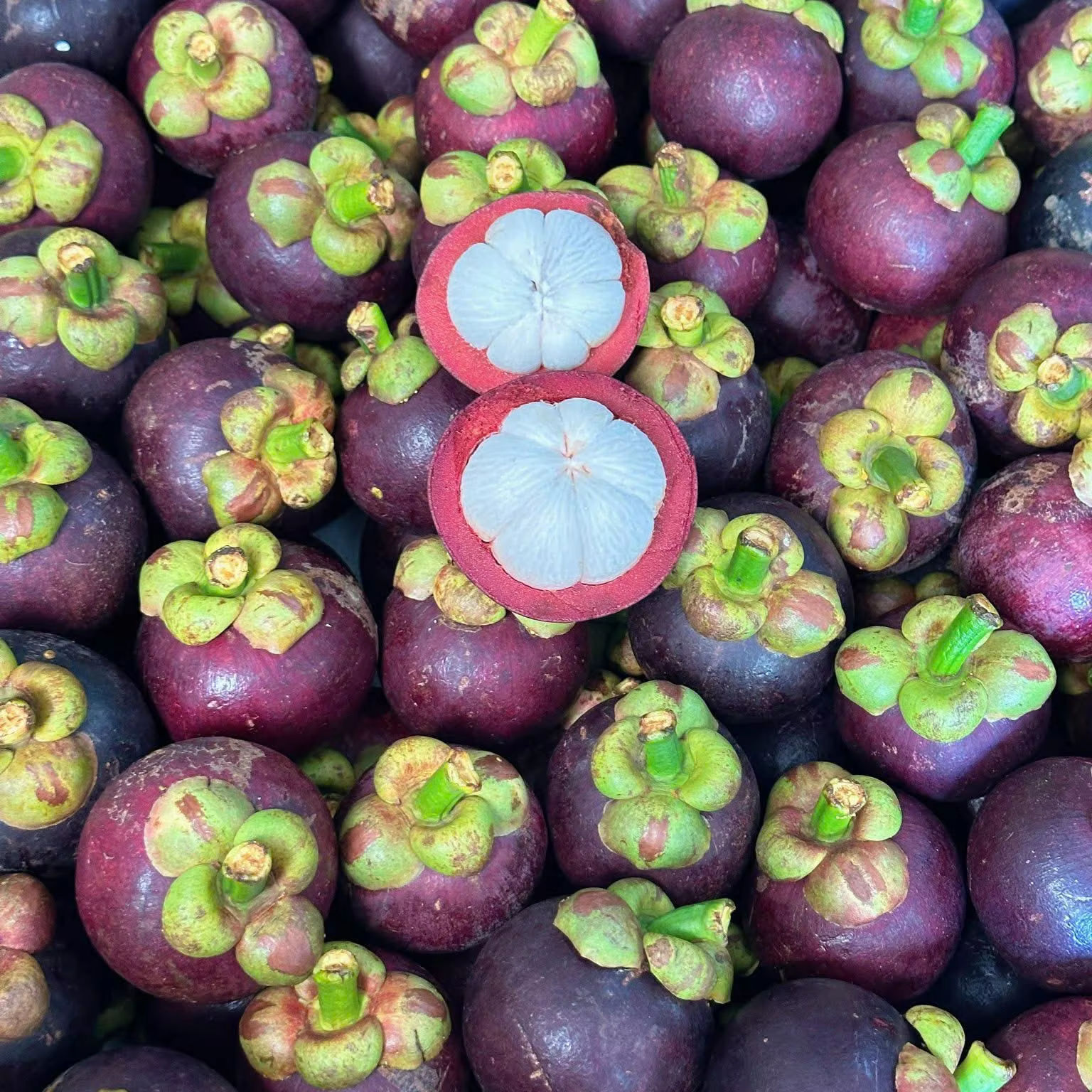 VIETNAMESE CRISPY DRIED MANGOSTEEN WHOLESALE – NATURALLY SWEET, NO ADDED ADDITIVES, OEM & CUSTOM PACKAGING