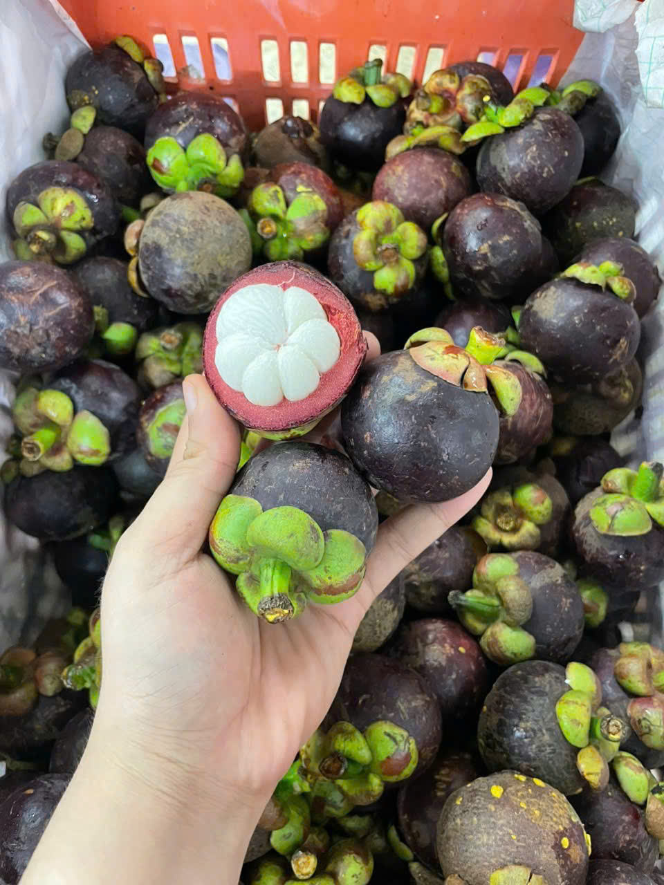 VIETNAMESE CRISPY DRIED MANGOSTEEN WHOLESALE – NATURALLY SWEET, NO ADDED ADDITIVES, OEM & CUSTOM PACKAGING 3