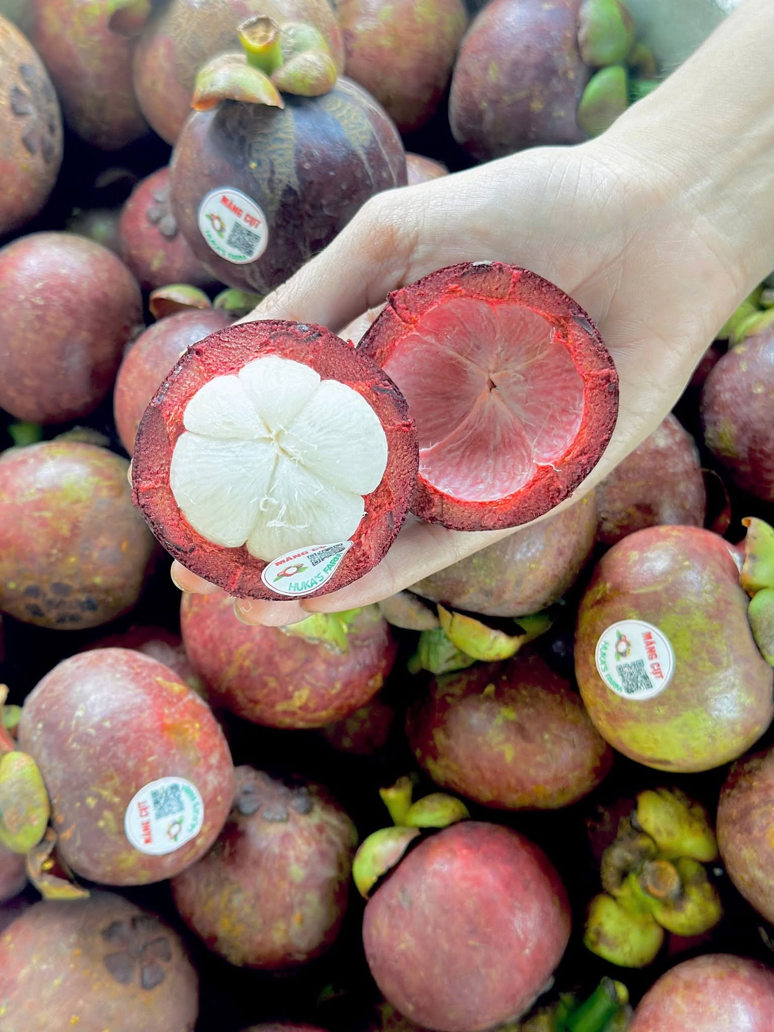 VIETNAMESE CRISPY DRIED MANGOSTEEN WHOLESALE – NATURALLY SWEET, NO ADDED ADDITIVES, OEM & CUSTOM PACKAGING 4