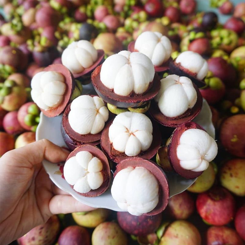 LAI THIEU VIETNAMESE FRESH MANGOSTEEN FOR EXPORT – PREMIUM TROPICAL FRUIT WITH NATURALLY SWEET, JUICY FLESH