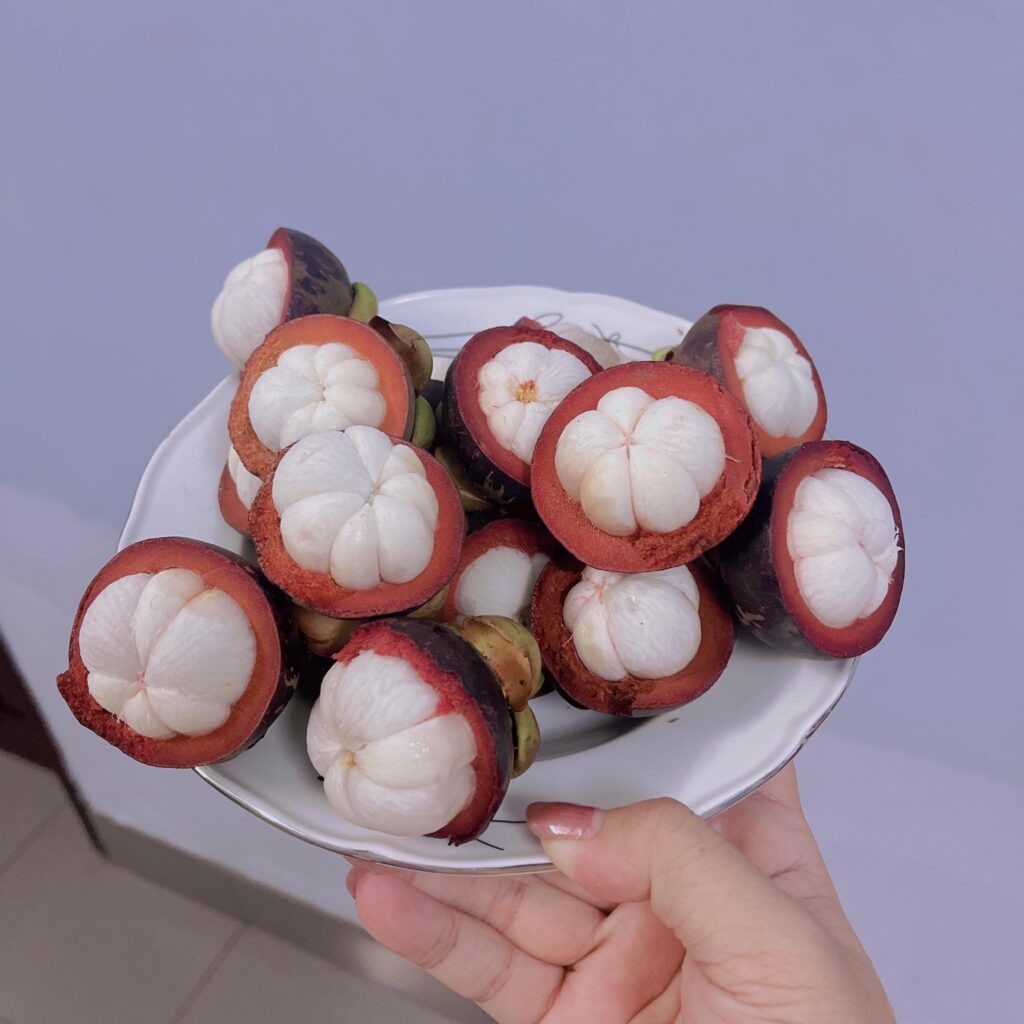 LAI THIEU VIETNAMESE FRESH MANGOSTEEN FOR EXPORT – PREMIUM TROPICAL FRUIT WITH NATURALLY SWEET, JUICY FLESH 2