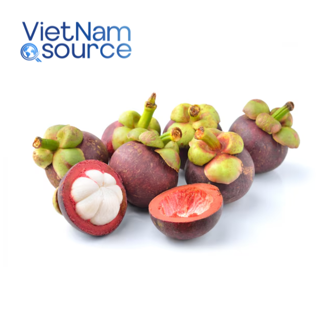PREMIUM VIETNAMESE FRESH PURPLE MANGOSTEEN FOR EXPORT – SWEET TROPICAL FRUIT FROM A VIETNAM SUPPLIER 2