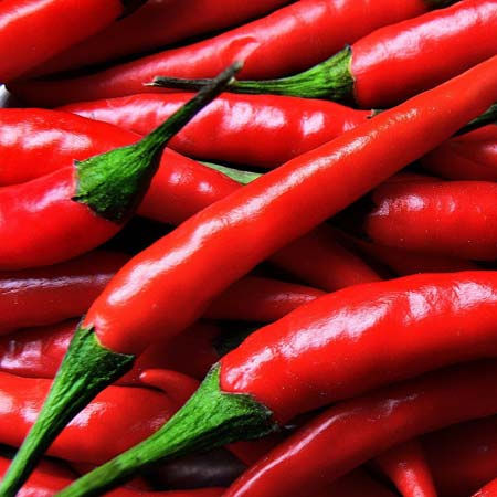 VIETNAMESE FRESH HOT CHILI PEPPERS FOR EXPORT – SPICY FRESH CHILI INGREDIENT FOR WHOLESALE AND FOOD SEASONING