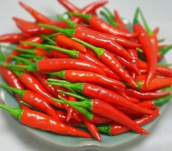 VIETNAMESE FRESH HOT CHILI PEPPERS FOR EXPORT – SPICY FRESH CHILI INGREDIENT FOR WHOLESALE AND FOOD SEASONING 3
