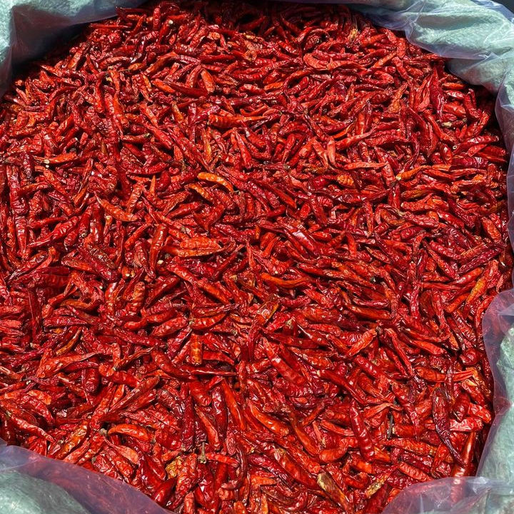 VIETNAMESE DRIED RED BIRD'S EYE CHILI PEPPERS FOR EXPORT – HOT, FLAVORFUL CHILI FOR WHOLESALE SEASONING