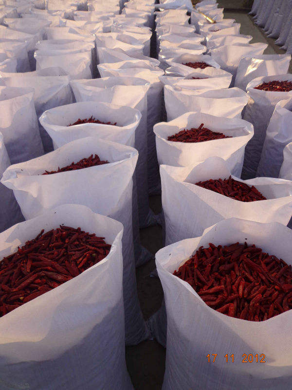 VIETNAMESE DRIED RED BIRD'S EYE CHILI PEPPERS FOR EXPORT – HOT, FLAVORFUL CHILI FOR WHOLESALE SEASONING 2