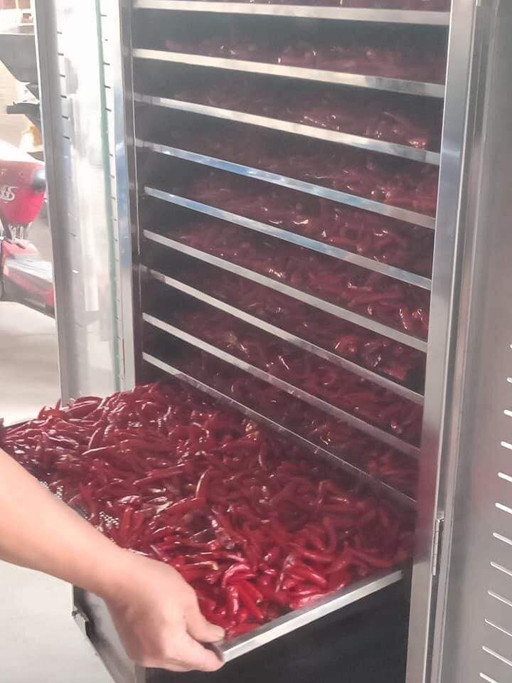 VIETNAMESE DRIED RED BIRD'S EYE CHILI PEPPERS FOR EXPORT – HOT, FLAVORFUL CHILI FOR WHOLESALE SEASONING 4