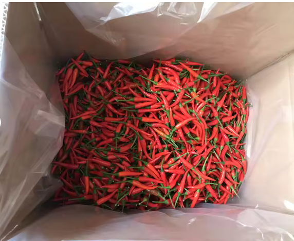 VIETNAMESE FRESH RED & GREEN CHILI PEPPERS FOR EXPORT – GRADE A, 8CM, RIPE, 5KG PACK 2