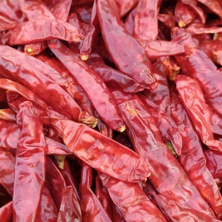 VIETNAMESE WHOLE DRIED RED CHILI PEPPERS FOR EXPORT – PREMIUM HOT CHILI FOR FOOD PROCESSING AND WHOLESALE 2