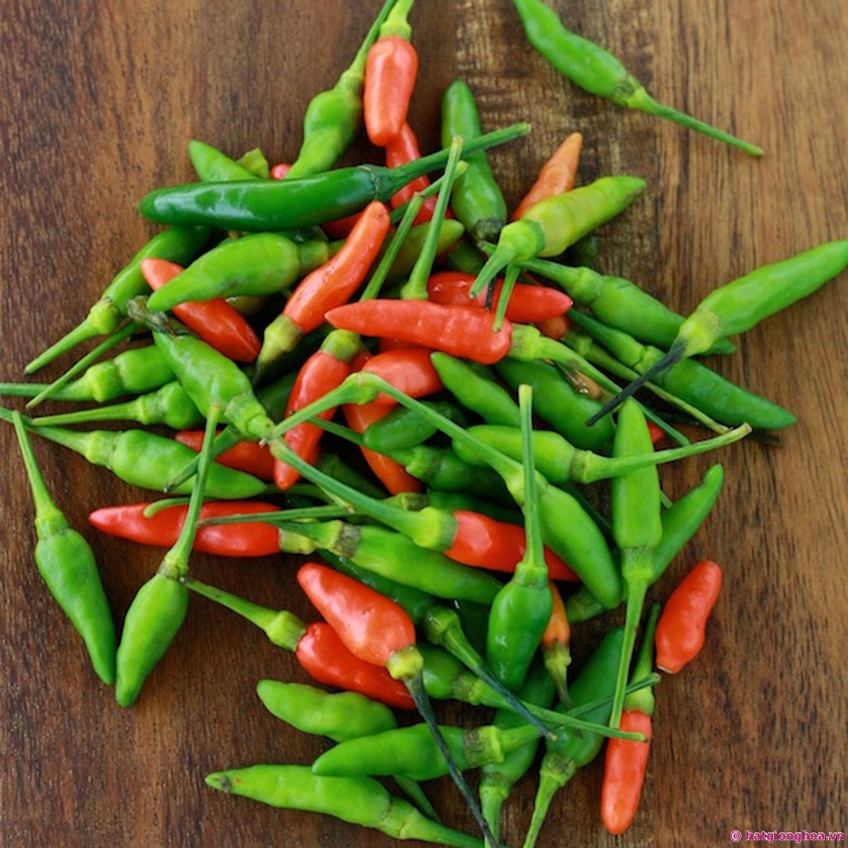 VIETNAMESE BIRD'S EYE CHILI PEPPERS FOR EXPORT – SMALL, HOT CHILI FOR WHOLESALE AND FOOD SEASONING