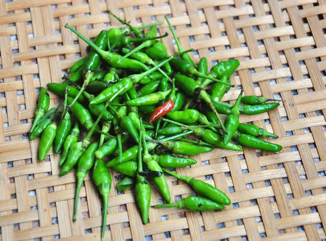 VIETNAMESE BIRD'S EYE CHILI PEPPERS FOR EXPORT – SMALL, HOT CHILI FOR WHOLESALE AND FOOD SEASONING 2