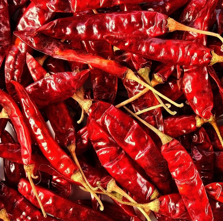 PREMIUM VIETNAMESE FRESH HOT CHILI PEPPERS FOR EXPORT – FOOD-GRADE SPICY SEASONING FOR RESTAURANTS AND FOOD INDUSTRY