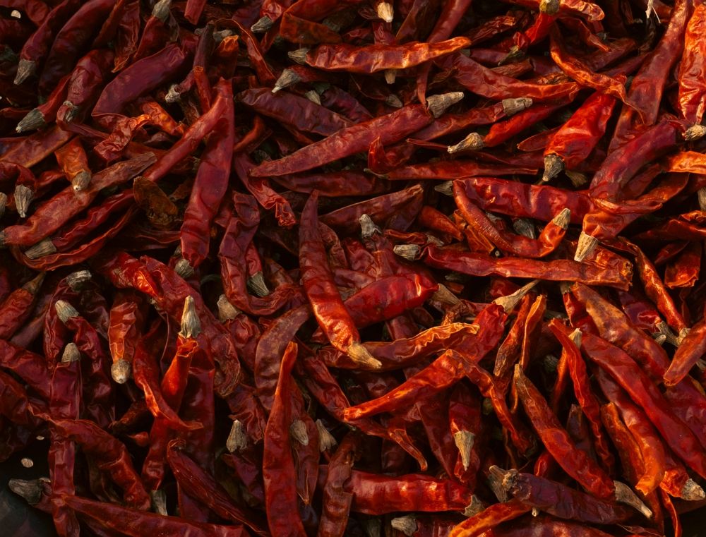PREMIUM VIETNAMESE FRESH HOT CHILI PEPPERS FOR EXPORT – FOOD-GRADE SPICY SEASONING FOR RESTAURANTS AND FOOD INDUSTRY 3