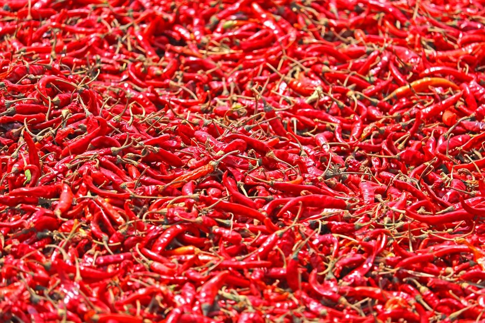 PREMIUM VIETNAMESE FRESH HOT CHILI PEPPERS FOR EXPORT – FOOD-GRADE SPICY SEASONING FOR RESTAURANTS AND FOOD INDUSTRY 4