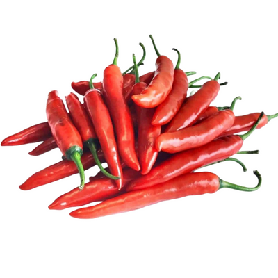 VIETNAMESE FRESH RED HOT CHILI PEPPERS & DRIED CHILI FOR EXPORT – WHOLESALE PRICES AND EXPORT-READY QUALITY