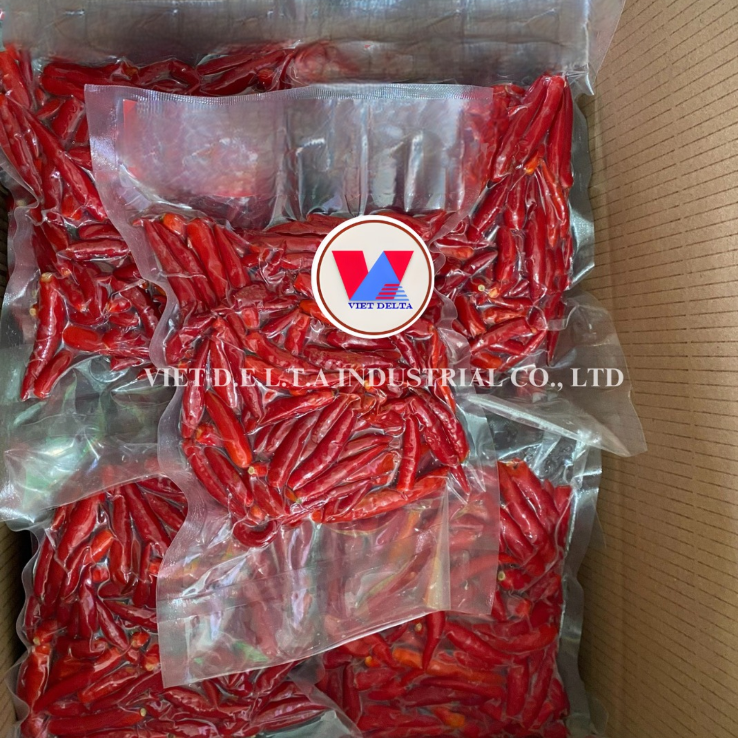 VIETNAMESE FRESH RED HOT CHILI PEPPERS & DRIED CHILI FOR EXPORT – WHOLESALE PRICES AND EXPORT-READY QUALITY 3