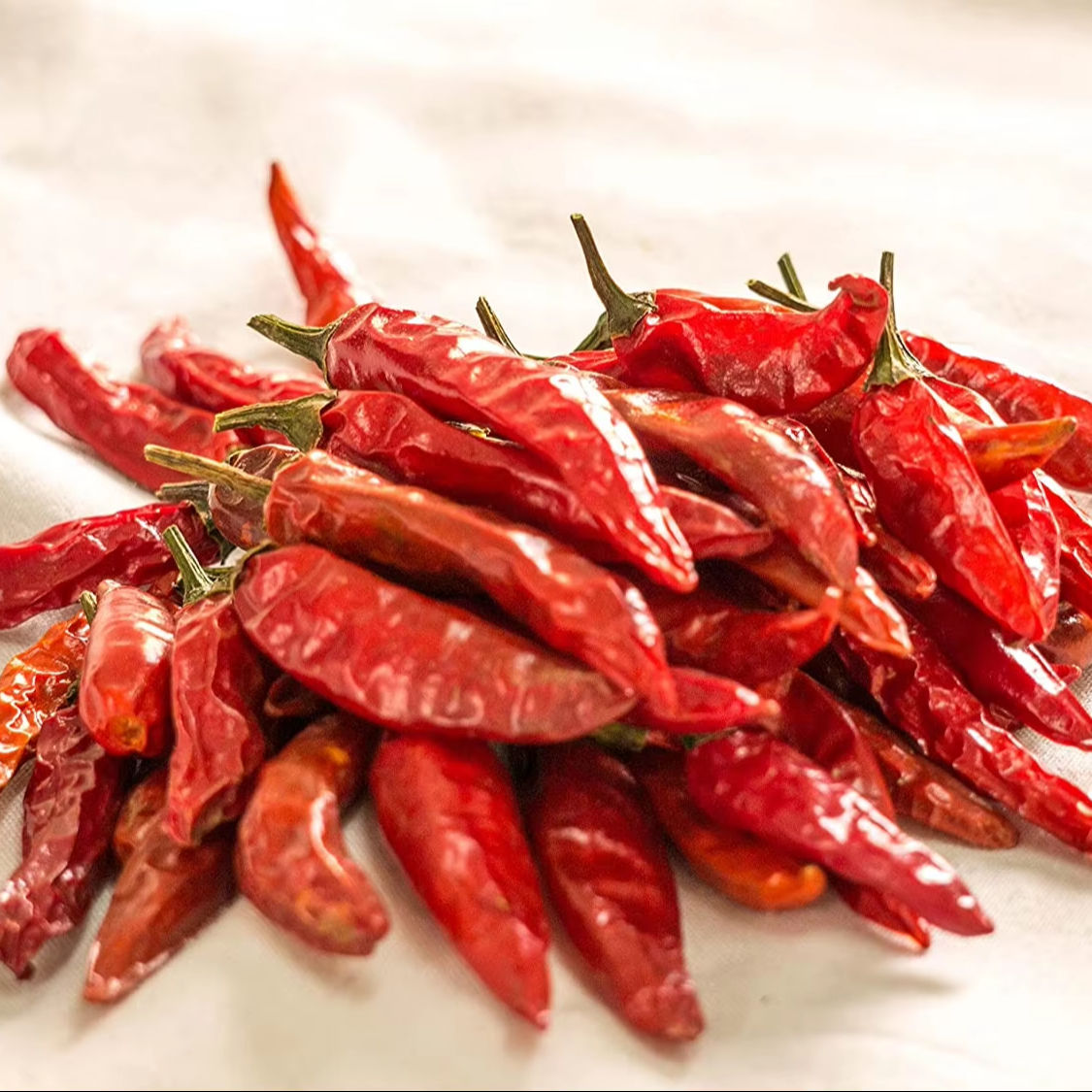 VIETNAMESE DRIED RED CHILI PEPPERS – HIGH-HEAT, BRIGHT RED COLOR, EXPORT-QUALITY FOOD INDUSTRY INGREDIENT