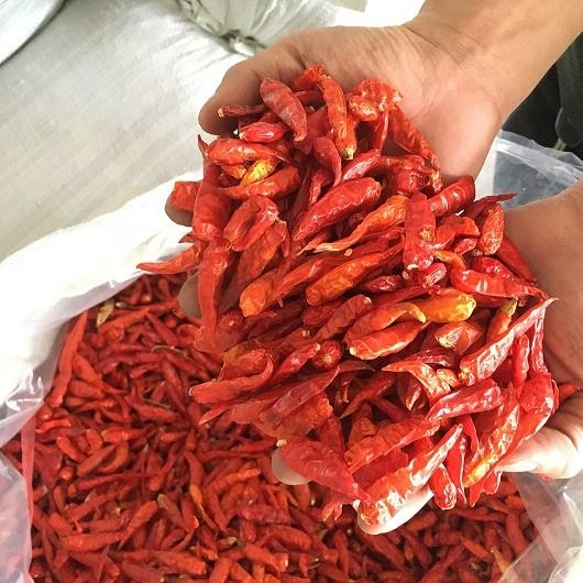PREMIUM VIETNAMESE DRIED HOT CHILI PEPPERS – 100,000–250,000 SHU, AD-DRIED PROCESSING, FACTORY WHOLESALE EXPORT