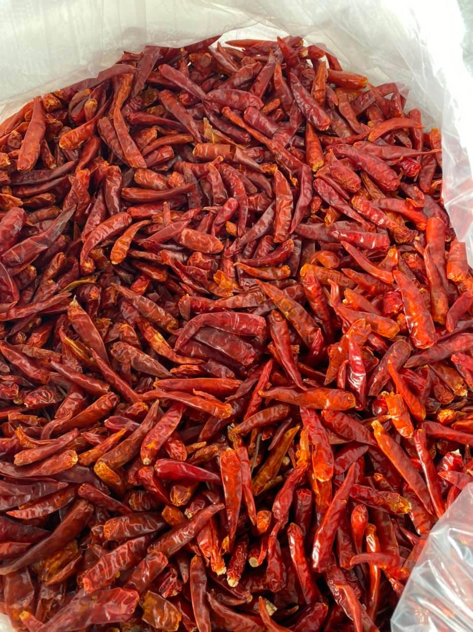 PREMIUM VIETNAMESE DRIED HOT CHILI PEPPERS – 100,000–250,000 SHU, AD-DRIED PROCESSING, FACTORY WHOLESALE EXPORT 2