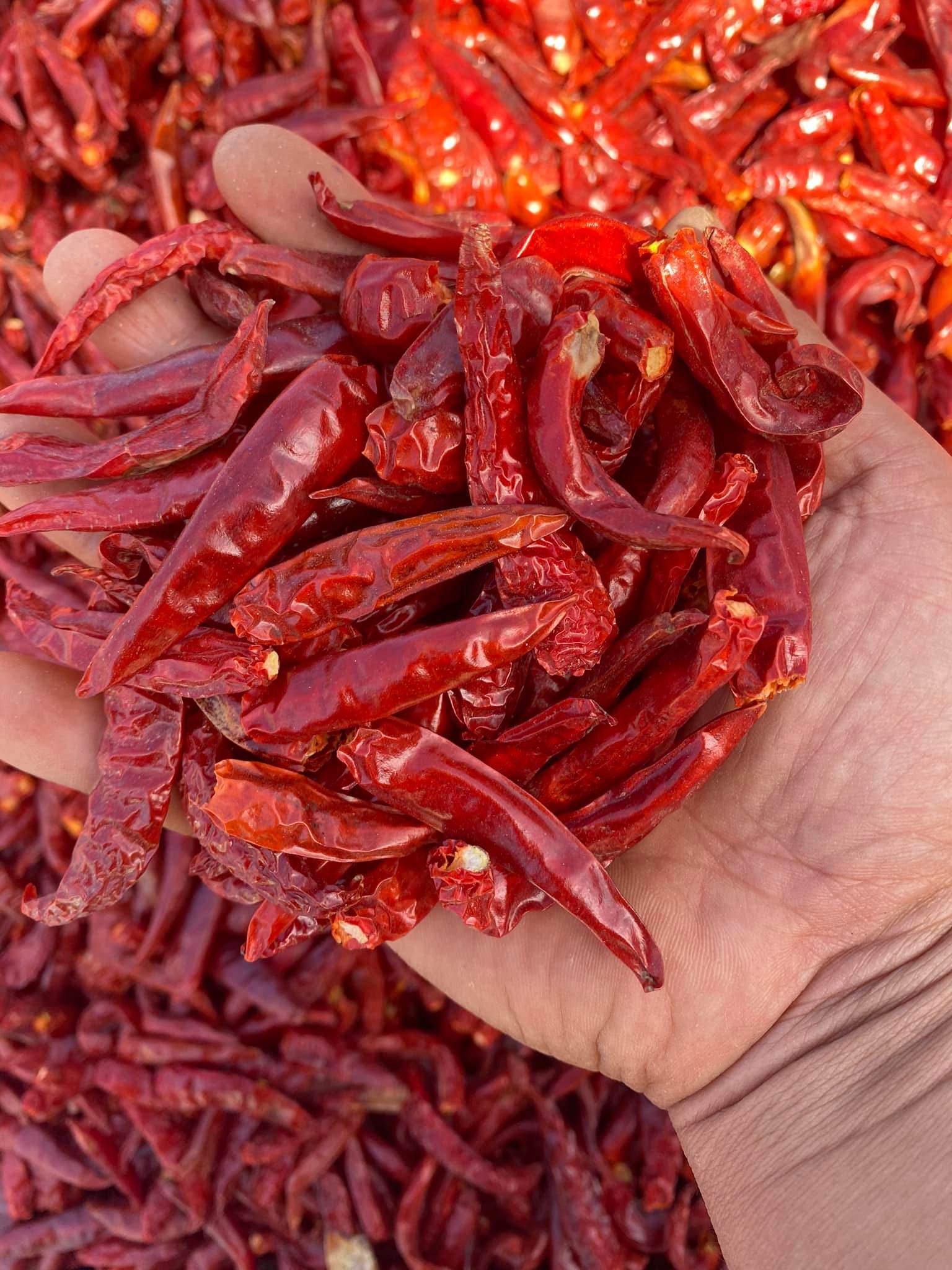 PREMIUM VIETNAMESE DRIED HOT CHILI PEPPERS – 100,000–250,000 SHU, AD-DRIED PROCESSING, FACTORY WHOLESALE EXPORT 3
