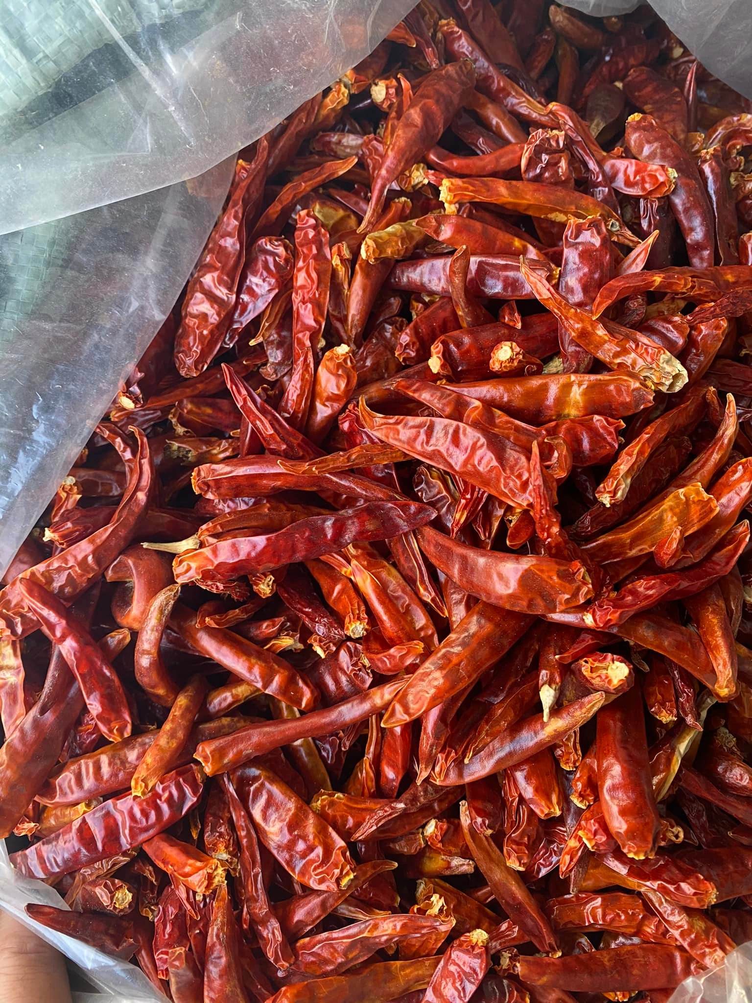 PREMIUM VIETNAMESE DRIED HOT CHILI PEPPERS – 100,000–250,000 SHU, AD-DRIED PROCESSING, FACTORY WHOLESALE EXPORT 4