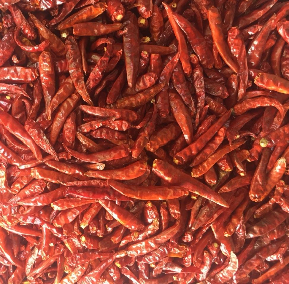 VIETNAMESE FRESH RED HOT CHILI PEPPERS – PUNGENT FLAVOR, 5KG CARTON PACKING, WHOLESALE EXPORT 2