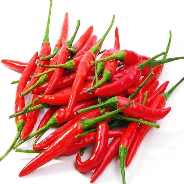 VIETNAMESE FRESH RED HOT CHILI PEPPERS – PUNGENT FLAVOR, 5KG CARTON PACKING, WHOLESALE EXPORT 4