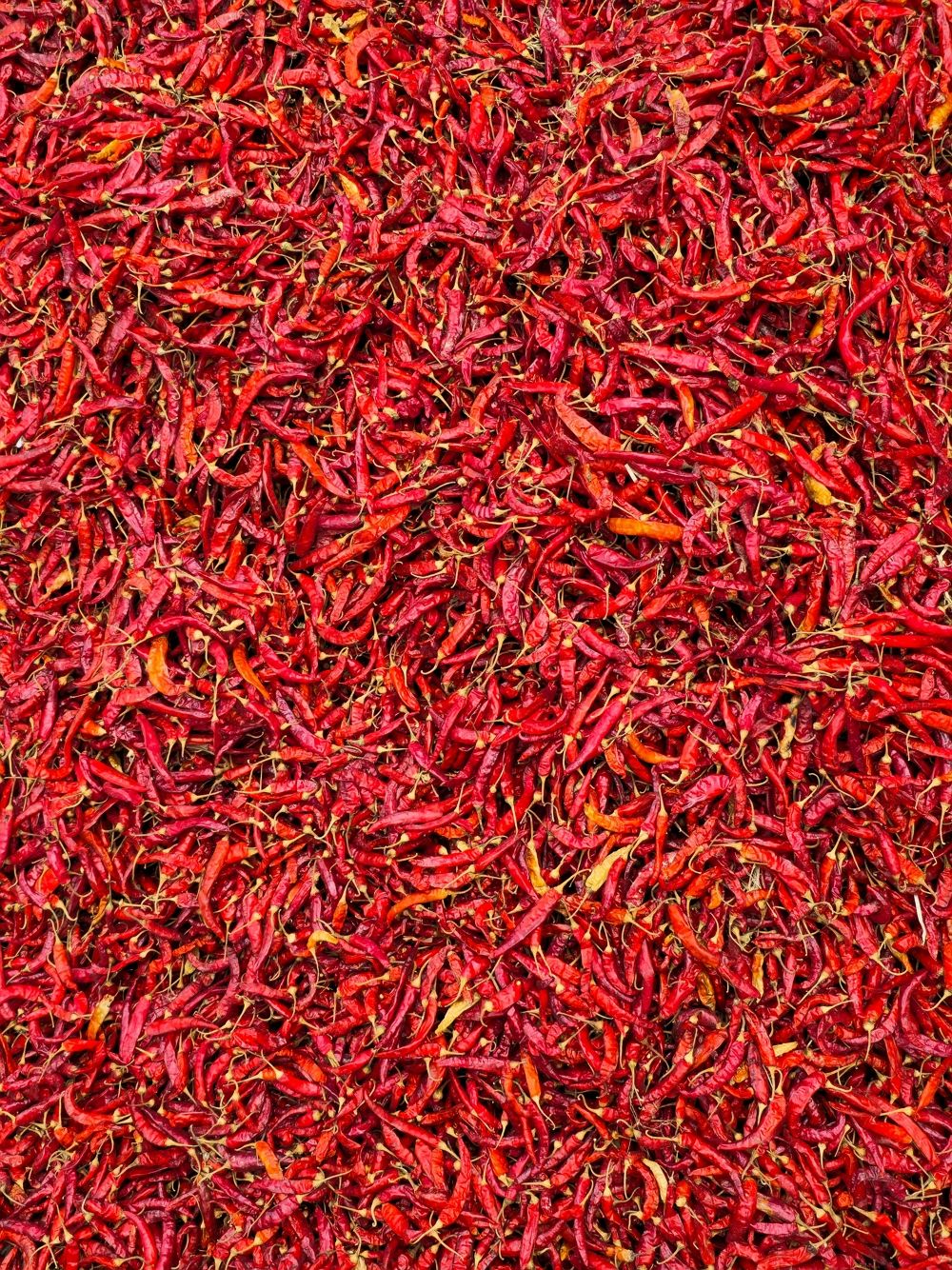 PURE VIETNAMESE DRIED RED CHILI PEPPERS – NATURAL SPICY SEASONING FOR DIPPING SAUCES, MARINADES AND COOKING 2