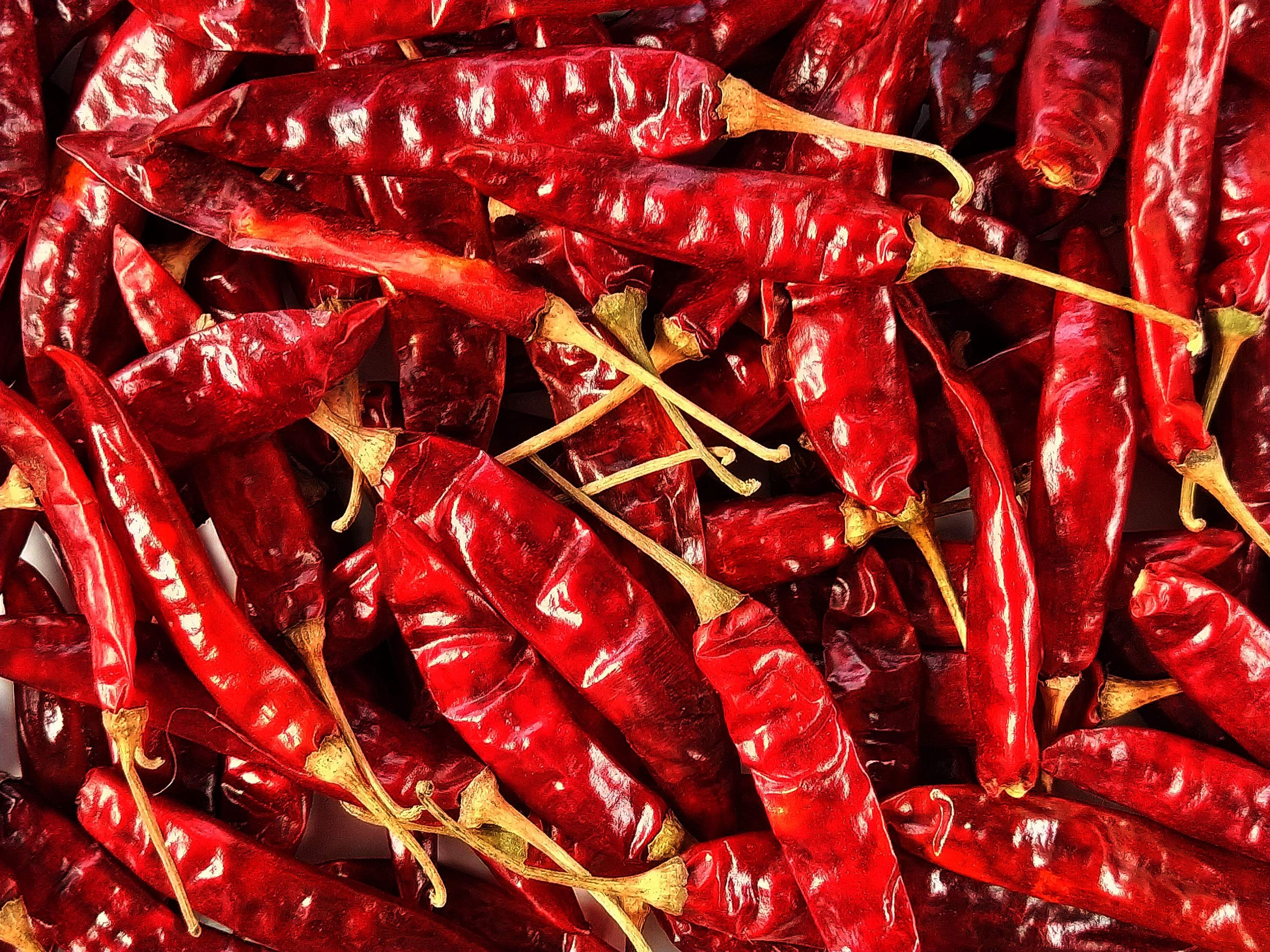 PURE VIETNAMESE DRIED RED CHILI PEPPERS – NATURAL SPICY SEASONING FOR DIPPING SAUCES, MARINADES AND COOKING 3