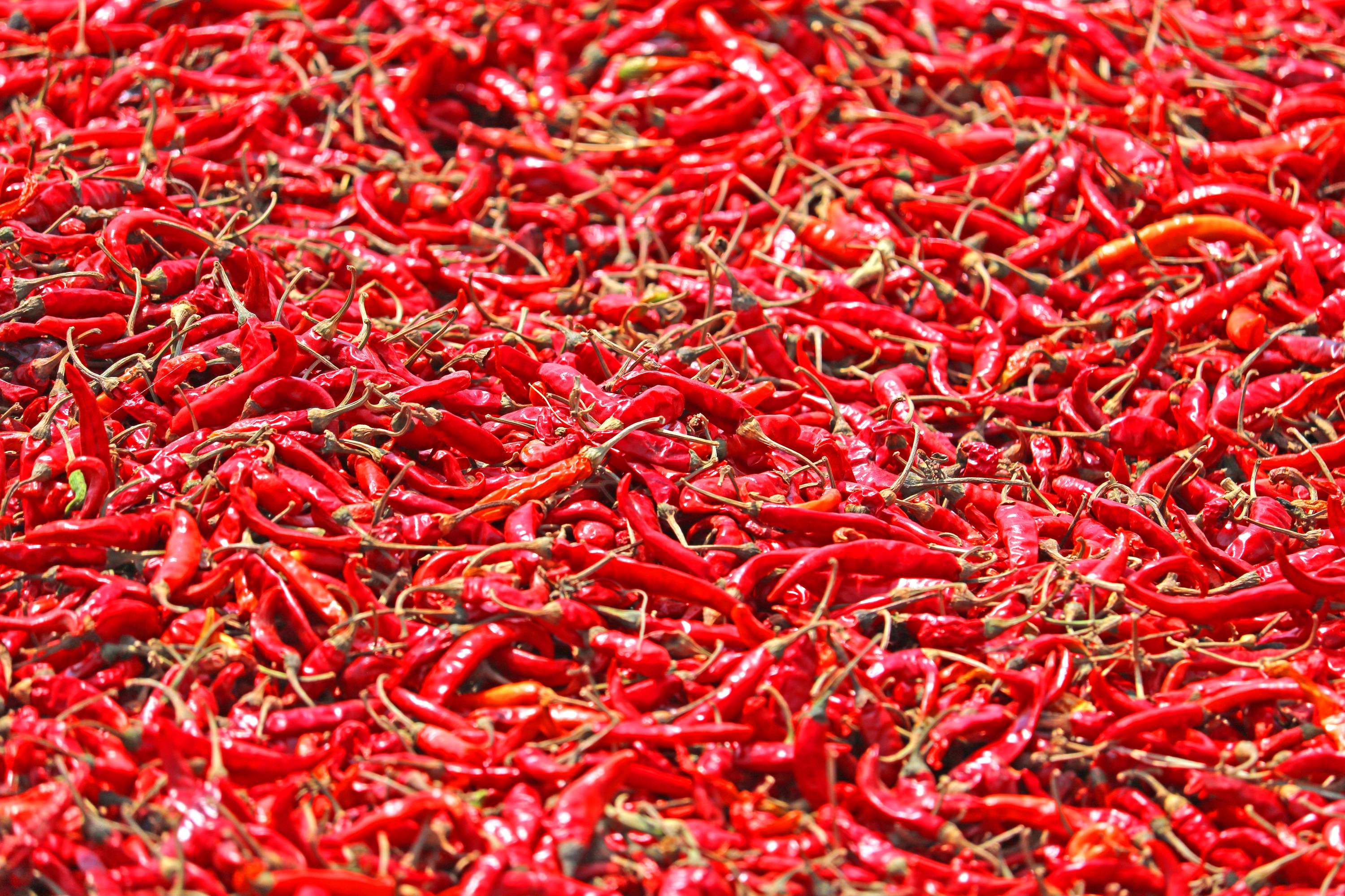 PURE VIETNAMESE DRIED RED CHILI PEPPERS – NATURAL SPICY SEASONING FOR DIPPING SAUCES, MARINADES AND COOKING 4
