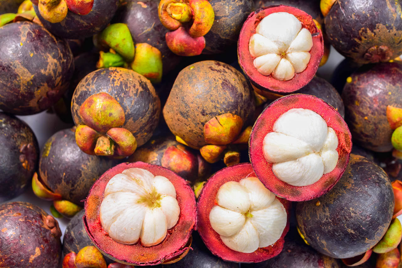 VIETNAMESE WHITE-FLESH MANGOSTEEN – FRESH TROPICAL FRUIT FOR BULK WHOLESALE EXPORT 3