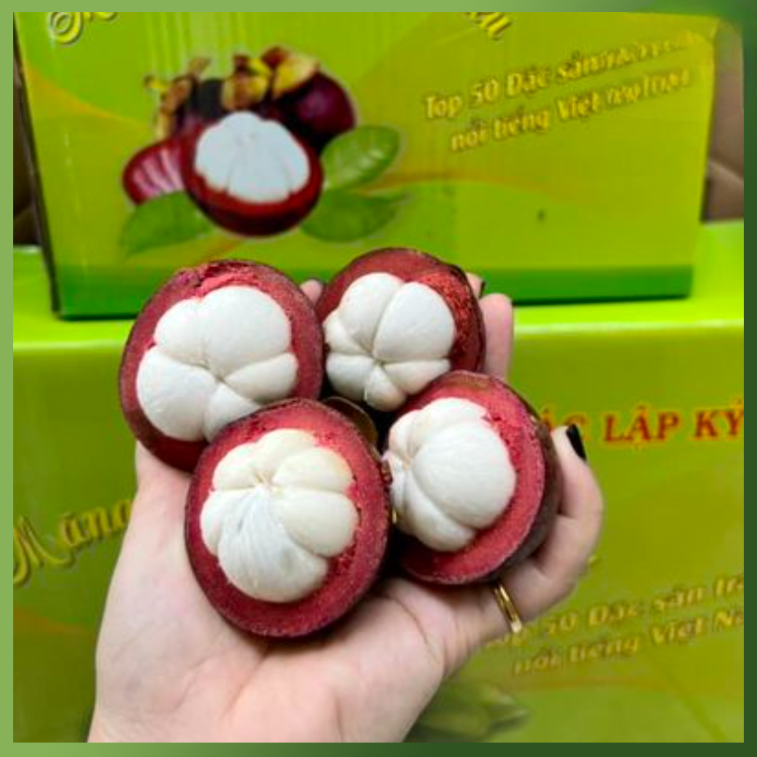 PREMIUM BINH DUONG VIETNAMESE MANGOSTEEN – FRESH PURPLE TROPICAL FRUIT FOR WHOLESALE EXPORT