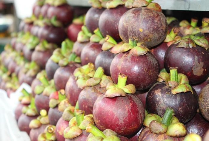 PREMIUM BINH DUONG VIETNAMESE MANGOSTEEN – FRESH PURPLE TROPICAL FRUIT FOR WHOLESALE EXPORT 3