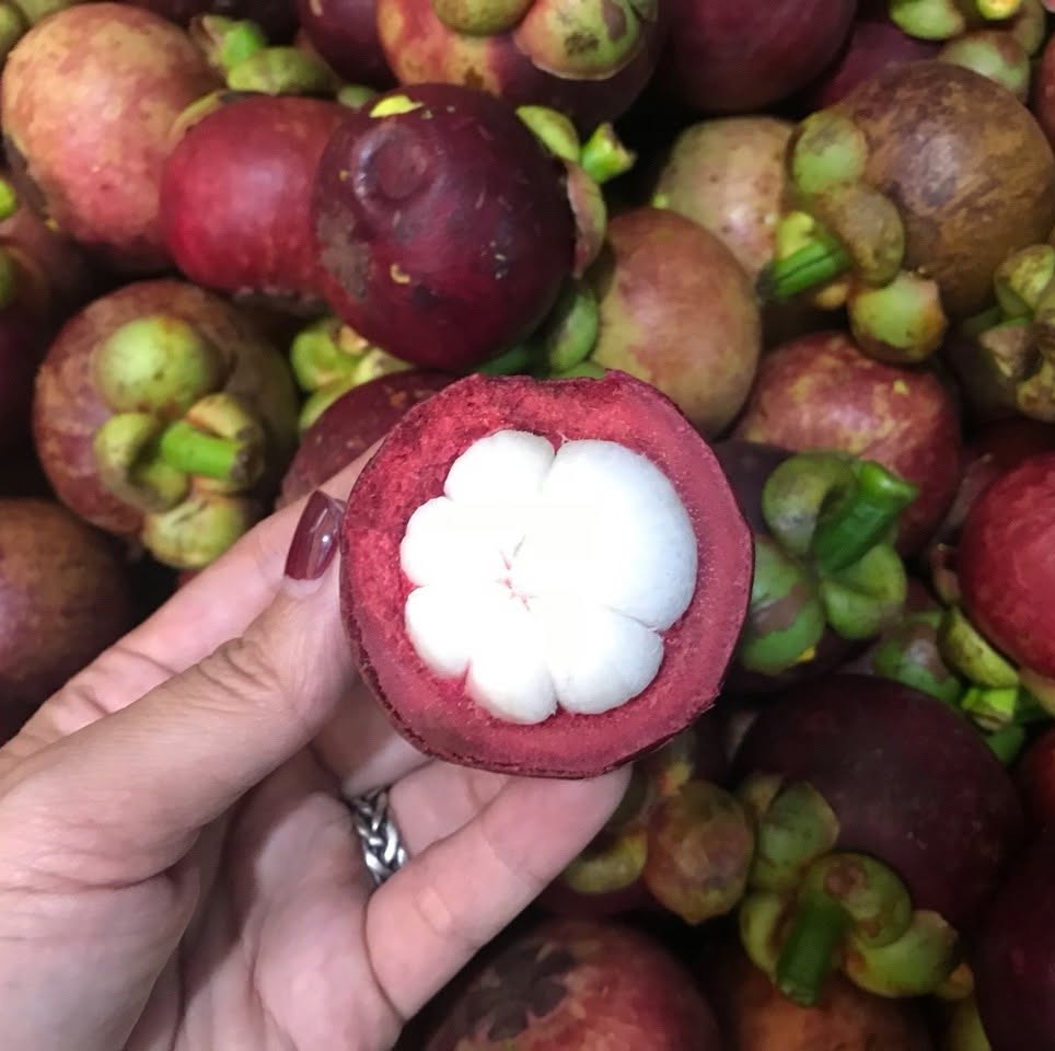 PREMIUM BEN TRE VIETNAMESE MANGOSTEEN – FRESH PURPLE TROPICAL FRUIT FOR WHOLESALE EXPORT