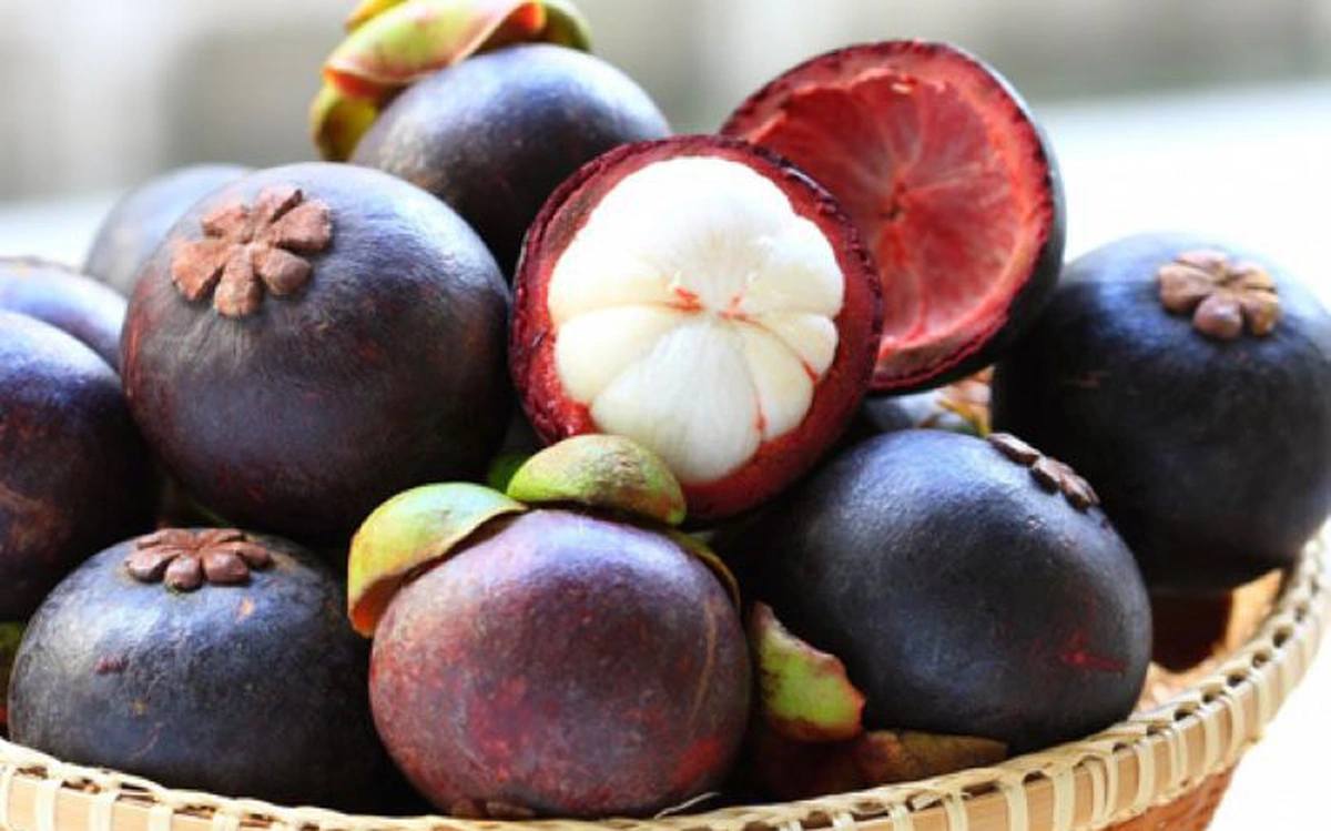 PREMIUM FRESH VIETNAMESE MANGOSTEEN – NATURAL TROPICAL FRUIT FOR WHOLESALE EXPORT 2