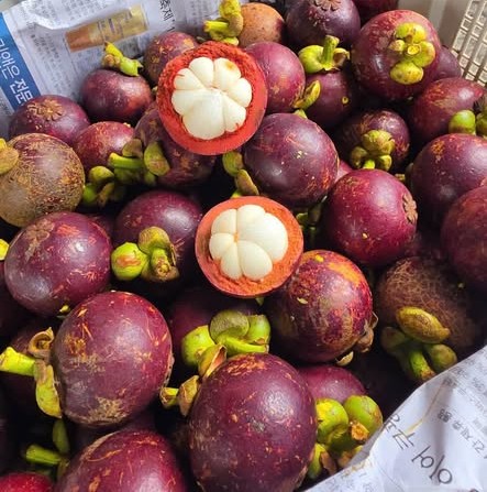 PREMIUM SOC TRANG VIETNAMESE MANGOSTEEN – FRESH PURPLE TROPICAL FRUIT FOR WHOLESALE EXPORT