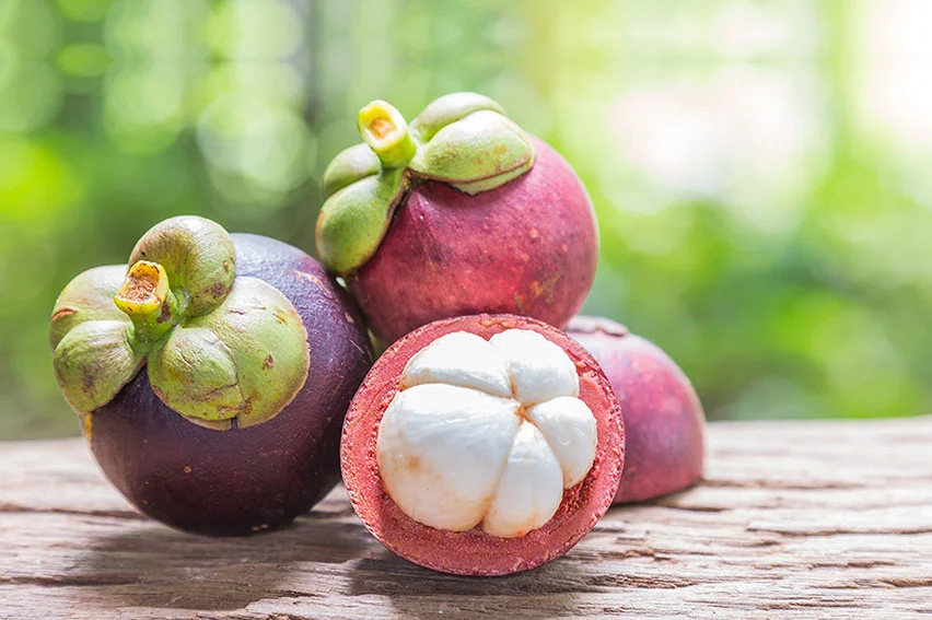PREMIUM SOC TRANG VIETNAMESE MANGOSTEEN – FRESH PURPLE TROPICAL FRUIT FOR WHOLESALE EXPORT 3