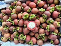 PREMIUM SOC TRANG VIETNAMESE MANGOSTEEN – FRESH PURPLE TROPICAL FRUIT FOR WHOLESALE EXPORT 4