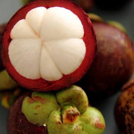 PREMIUM KIEN GIANG VIETNAMESE MANGOSTEEN – FRESH PURPLE TROPICAL FRUIT FOR WHOLESALE EXPORT