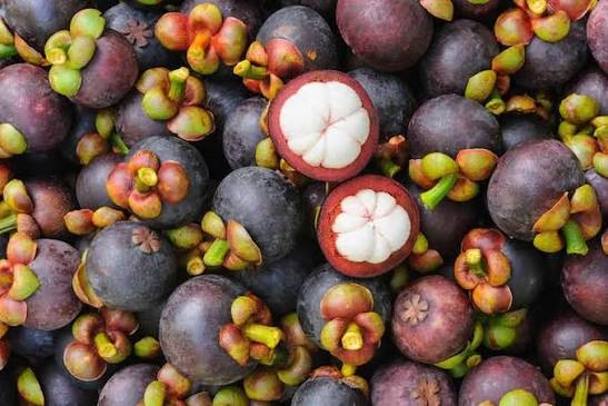 PREMIUM KIEN GIANG VIETNAMESE MANGOSTEEN – FRESH PURPLE TROPICAL FRUIT FOR WHOLESALE EXPORT 2