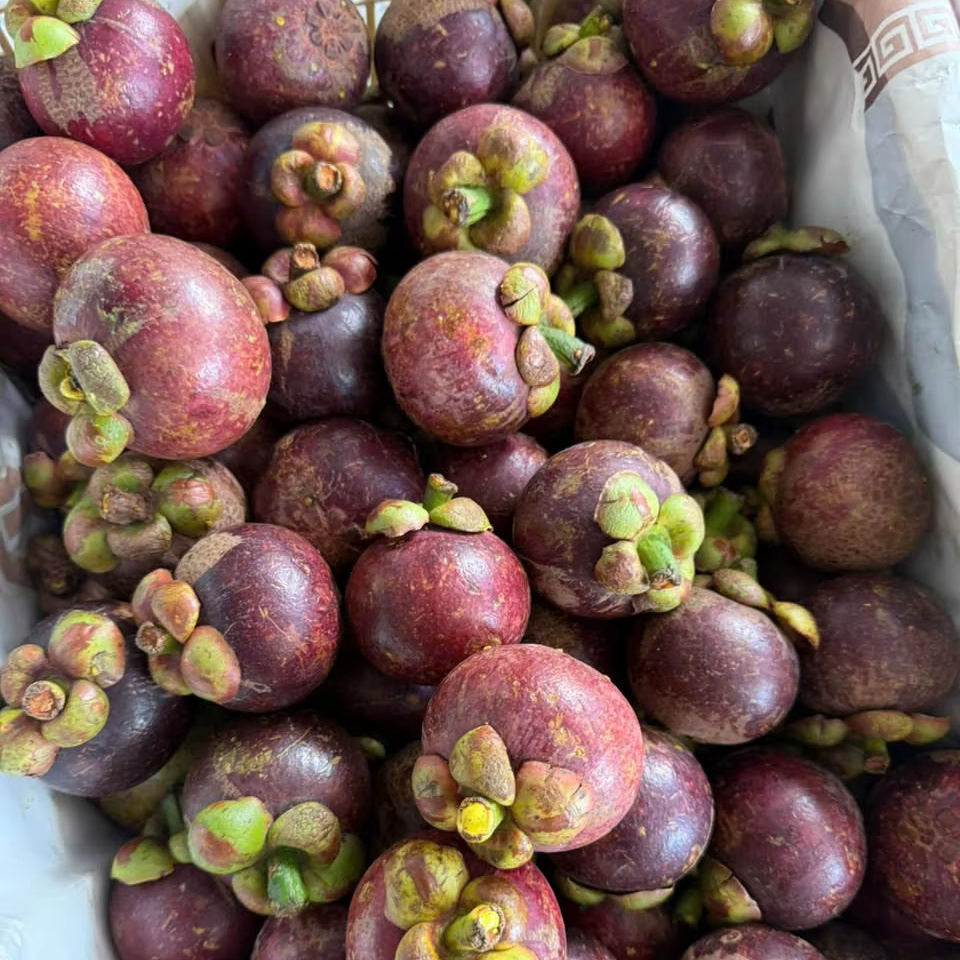 PREMIUM FRESH VIETNAMESE PURPLE MANGOSTEEN – SWEET EXPORT-GRADE TROPICAL FRUIT FOR WHOLESALE SUPPLY