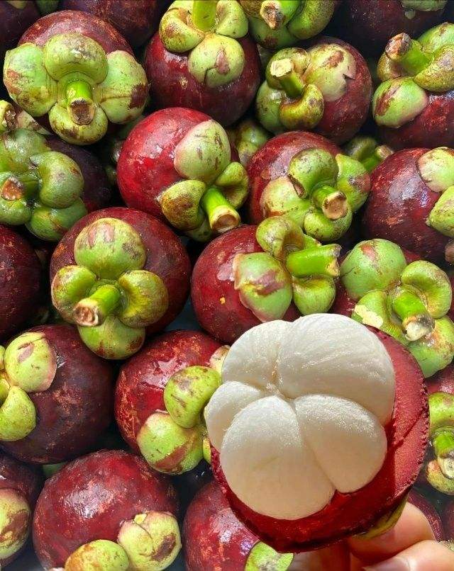 PREMIUM FRESH VIETNAMESE PURPLE MANGOSTEEN – SWEET EXPORT-GRADE TROPICAL FRUIT FOR WHOLESALE SUPPLY 4