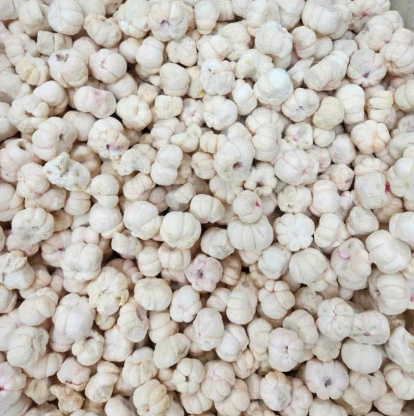 VIETNAMESE CRISPY DRIED MANGOSTEEN – TROPICAL FRUIT INGREDIENT FOR DESSERTS, YOGURT AND BAKERY WHOLESALE 2