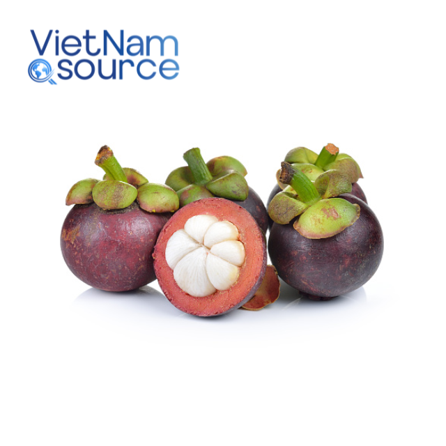 PREMIUM FRESH VIETNAMESE PURPLE MANGOSTEEN – SWEET TROPICAL FRUIT FOR BULK WHOLESALE EXPORT 2