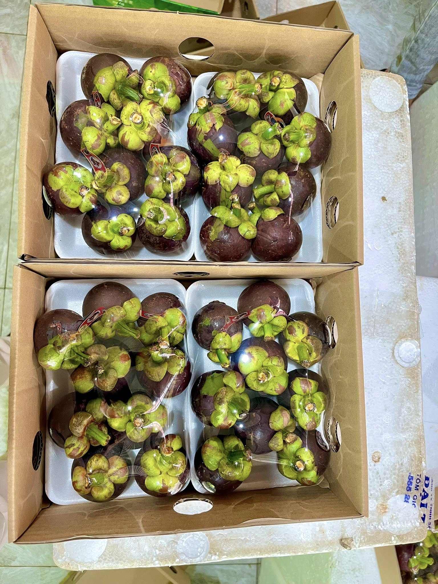 PREMIUM FRESH VIETNAMESE PURPLE MANGOSTEEN – SWEET TROPICAL FRUIT FOR BULK WHOLESALE EXPORT 4